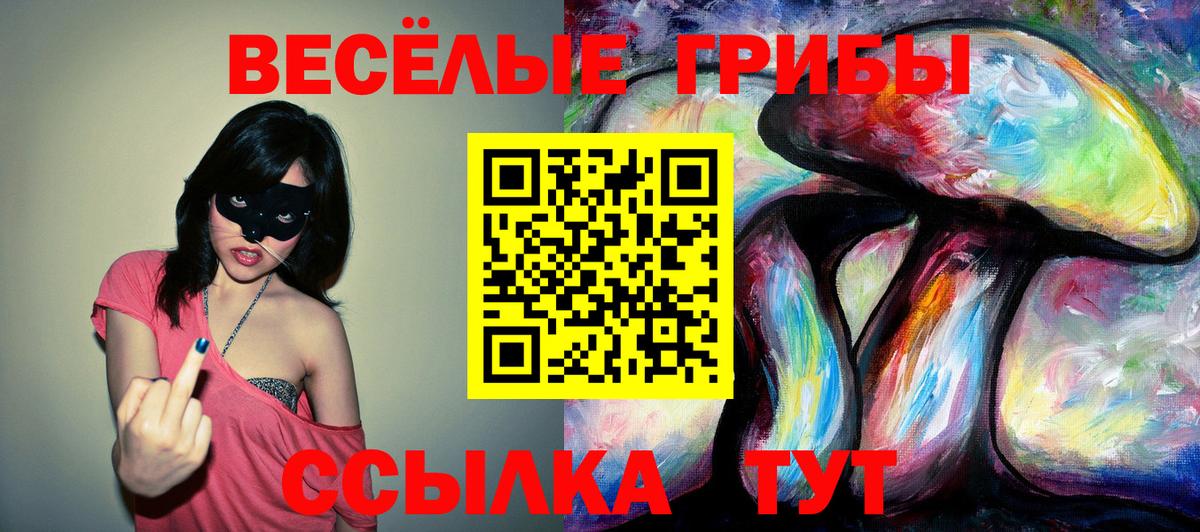 Галлюциногенные грибы мицелий  Вход с VPN  Кохма 