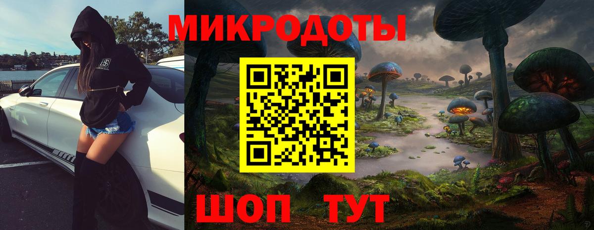 Псилоцибиновые грибы мухоморы Кохма